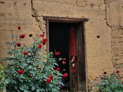 -杨家堂村