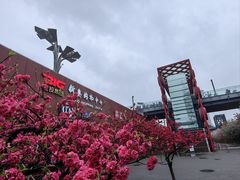 -北京奥林匹克公园