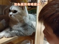 -樹下遇见树·咖啡