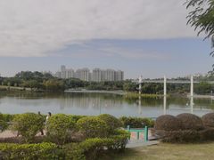 -东莞植物园