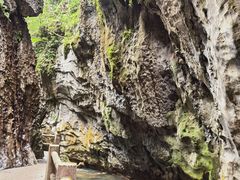 -华蓥山天意谷景区