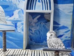 -成都浩海立方海洋公园