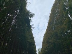 -醉御香渔家园(临沂路与大连路店)