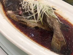 -梅花香里大酒店(郁金香路店)