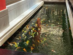 -龙悦湾酒家·八阵鱼生·渔人码头店