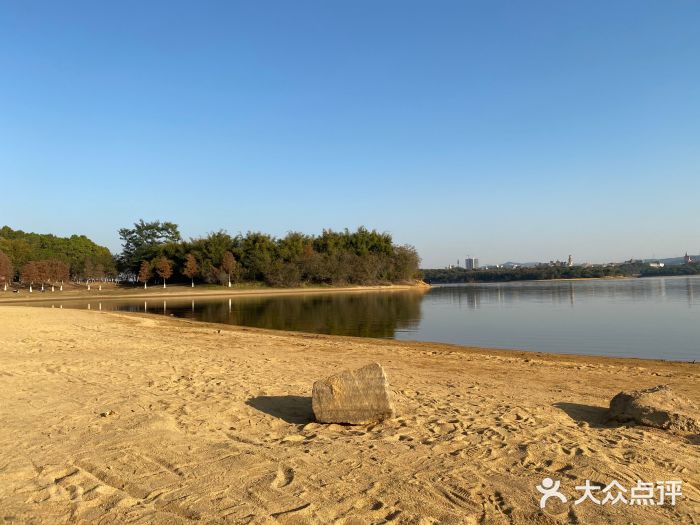 松山湖南湖湾露营营地图片