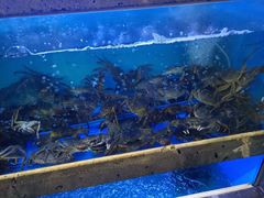 -鲜味食族水产·海鲜餐厅