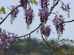 -溪口-滕头旅游景区