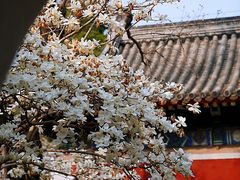 -北京艺术博物馆(万寿寺)
