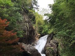 -大围山国家森林公园