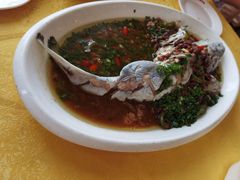 -胖大姐黄辣丁鱼庄(新津店)