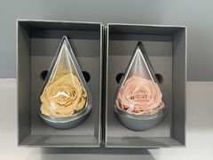 -ROSEONLY诺誓(广州K11店)