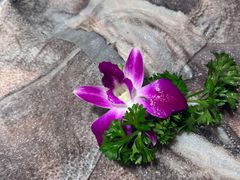 -大妙火锅·非物质文化遗产(东湖公园店)