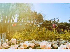 -白马涧龙池景区