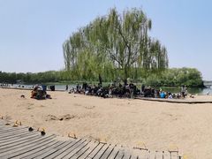 -大兴滨河森林公园