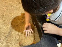 -燕莎友谊商城(亮马桥店)
