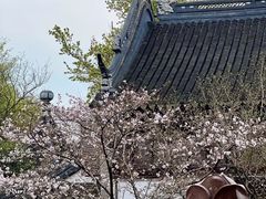 -拙政园