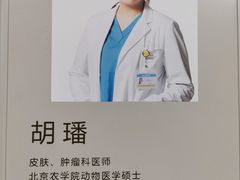 -美联众合动物医院·24h转诊中心