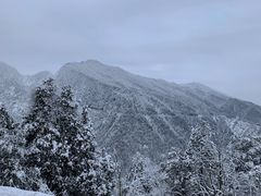 -瓦屋山景区