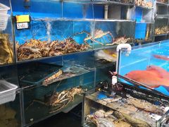 -岳各庄批发市场(西四环中路店)
