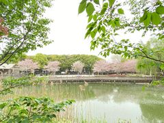 -玉山公园