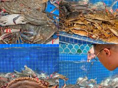 -乔哥铭洋海鲜自助(皇城恒隆广场店)