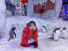 -芜湖新华联大白鲸海洋公园