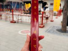 -白云观