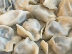 韭菜鲜肉饺-北方北手工饺子坊(北京路店)