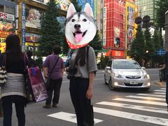 -秋叶原电器街
