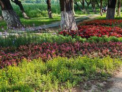 -长春市南湖公园