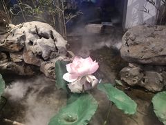 -苏浙徽·江南荟·本味融合菜(相城方圆里店)