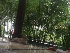 -龙达温泉生态城