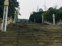 -铁山坪森林公园