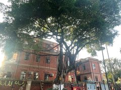 -厦门市鼓浪屿风景名胜区-天主教堂