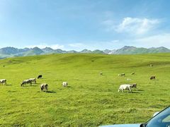 -新疆那拉提国家旅游度假区