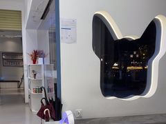 -立德24H动物医院·夜诊·转诊中心·1.5T核磁共振(海珠店)