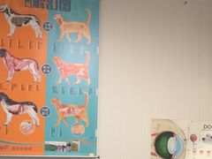 -守诺宠物医院·眼科· 特色牙科·异宠专科(虹口店)
