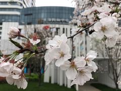 -新天地活力PARK