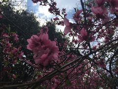 -南诏风情岛