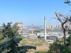 -大渡口区义渡公园