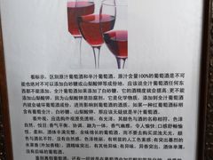-文成城堡