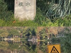 -重庆彩云湖湿地公园