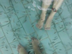 -天山海世界·米立方