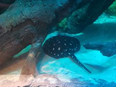 -沈阳海洋探索中心