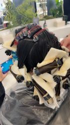 点击看大图 -GANO HAIR