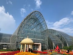 -南山植物园
