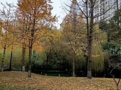 -温江公园