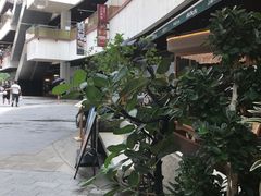 -上海长风大悦城