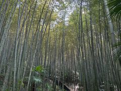 -南山风景名胜区